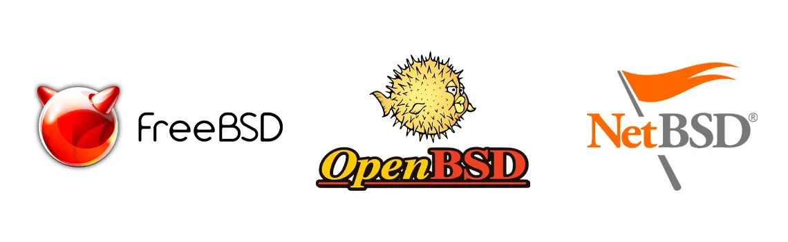 Qual é a diferença entre o BSD e as distribuições Linux?