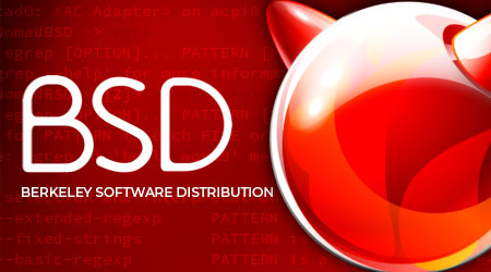 O que é BSD (Berkeley Software Distribution)?